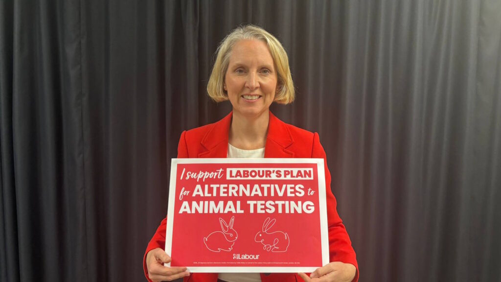 Animal testing to be phased out